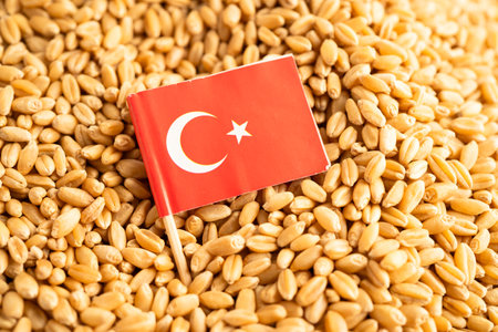 Turkey flag with Wheat and grains ears agricultural, organic farm