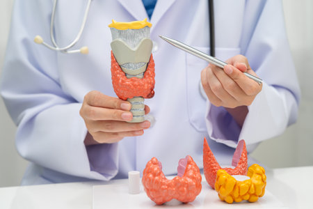 Asian doctor with thyroid gland human anatomy model in hospital.