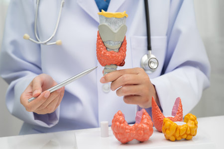 Hyperthyroidism, Overactive Thyroid, Thyroid Lymphoma, Asian doctor with thyroid gland human anatomy...