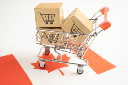 Canada shopping, Shopping cart box on Canada flag, import export, finance commerce.の写真素材