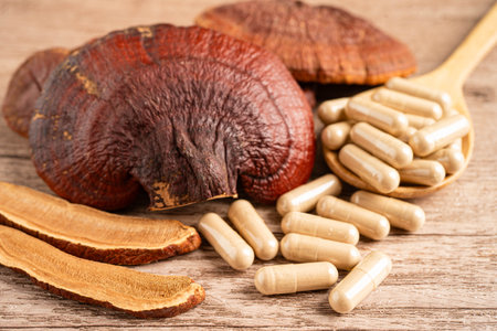 Lingzhi or Reishi mushroom with capsules, organic natural healthy food.の写真素材