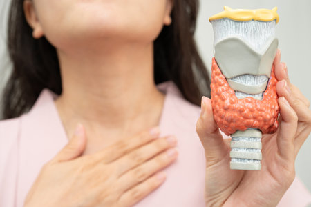 Hyperthyroidism, Overactive Thyroid, Thyroid Lymphoma, Asian woman with thyroid gland human anatomy model.の写真素材
