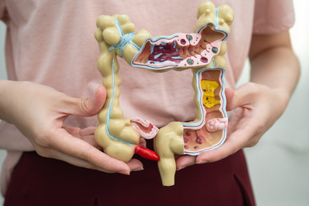 Intestine, Asian woman holding human anatomy model.