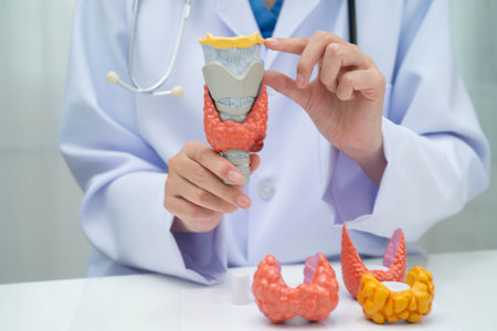 Hyperthyroidism, Overactive Thyroid, Thyroid Lymphoma, doctor with thyroid gland human anatomy model in hospital.の写真素材