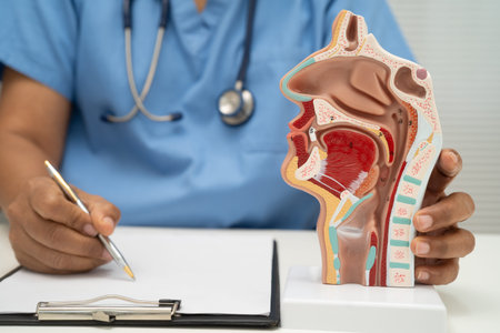 Asian doctor with nasal oral throat cavity neck human anatomy model for study diagnosis and...