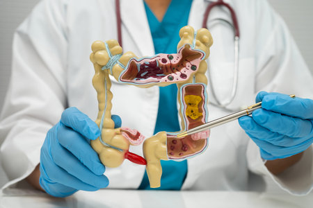 Intestine, doctor holding human anatomy model for study diagnosis and treatment in hospital.