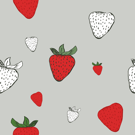 Hand drawn berry vector background. Strawberry sketch.のイラスト素材