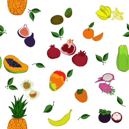 Exotic fruits on white background.のイラスト素材