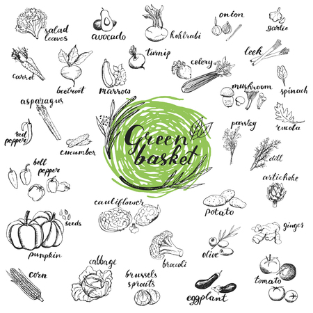 Hand drawn sketches of organic vegetables. Elements for menu design.のイラスト素材