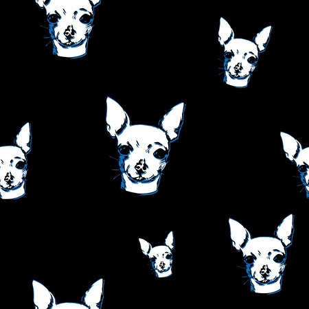 Chihuahua pet on black background.のイラスト素材