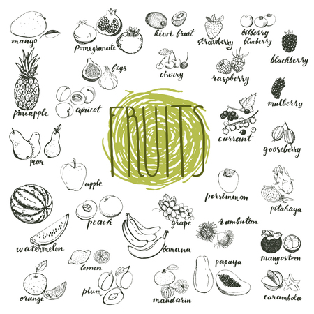 Hand drawn sketches of organic fruits. Elements for menu design.のイラスト素材