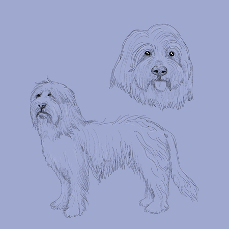 Hand drawn dog portrait.のイラスト素材
