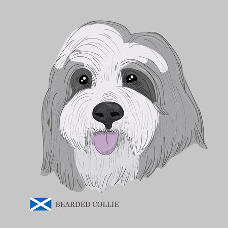 Hand drawn dog sketch and scottish flag.のイラスト素材
