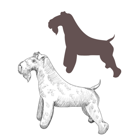 Purebred dog sketch and silhouette isolated on white background.のイラスト素材