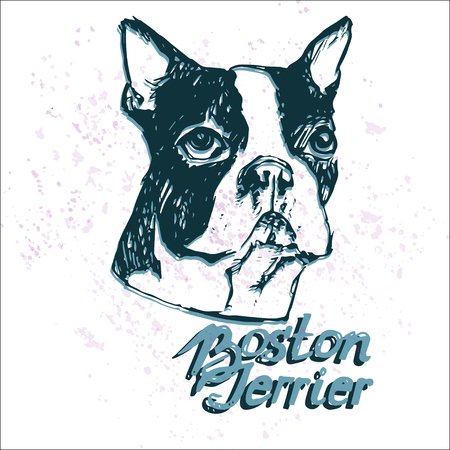 Hand drawn dog portrait on white background. Sketch of purebred dog. T-shirt print template for dog lovers.のイラスト素材