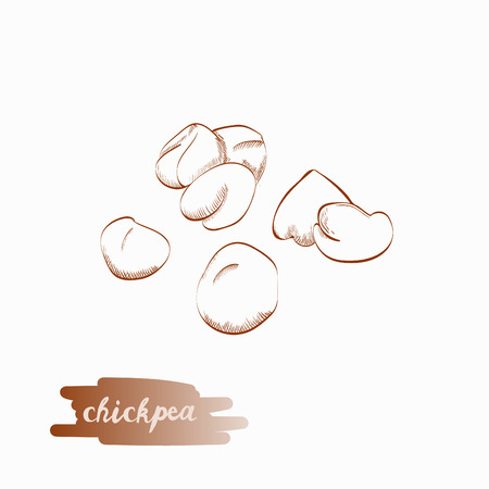 Chickpea vector illustration.のイラスト素材