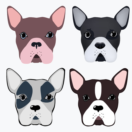 Set of bulldog heads isolated on white background. Dog vector illustration in flat style.のイラスト素材