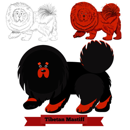 Tibetan dog breed in different styles.のイラスト素材