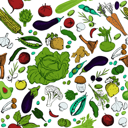 Hand drawn vegetables on white background.のイラスト素材