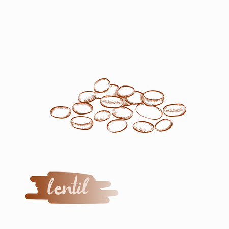 Lentil grains vector illustration.のイラスト素材