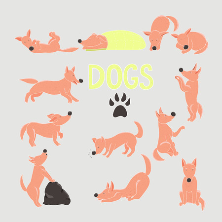 Collection of color cartoon dog in different positions.のイラスト素材