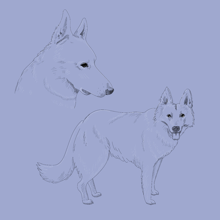 Purebred dog portrait artistic illustration.のイラスト素材