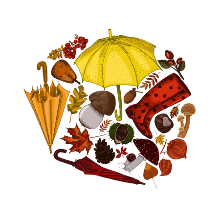 Fall concept hand drawn illustration.のイラスト素材