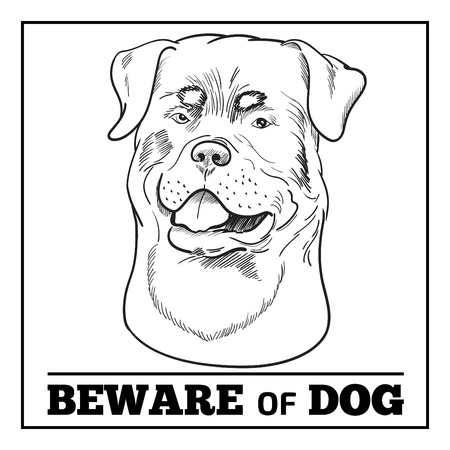 Rottweiler isolated on white background. Purebred watchdog head hand drawn sketch.のイラスト素材