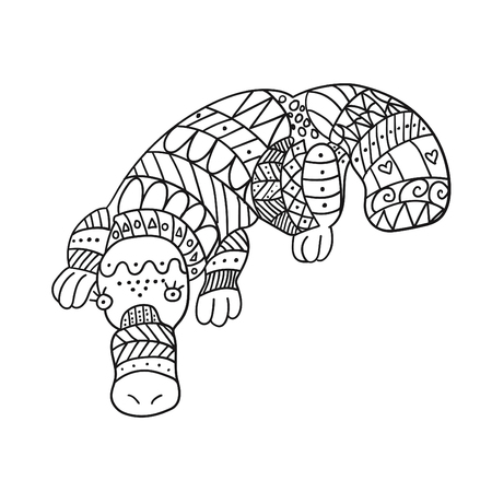 Stylized platypus isolated on white background. Freehand ornamental duckbill for children coloring book.のイラスト素材