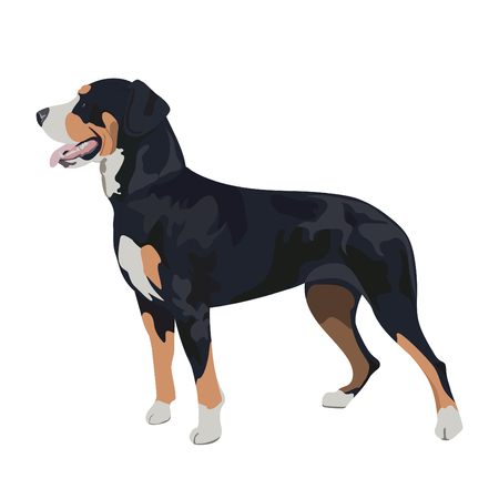Purebred dog panting.のイラスト素材