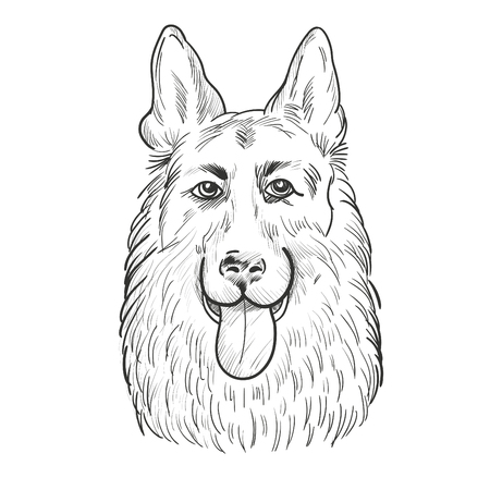Dog head hand drawn sketchのイラスト素材