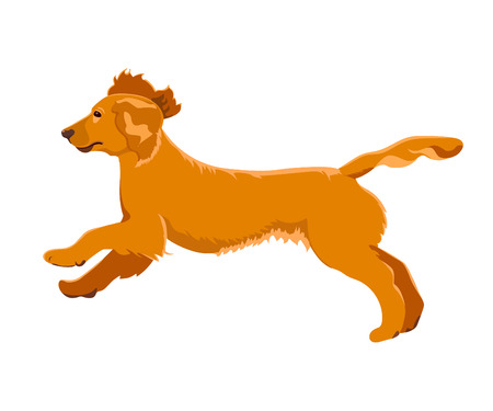 Cocker spaniel running isolated on white background. Cute purebred puppy jumping.のイラスト素材