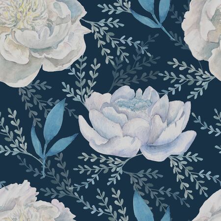 White peonies on dark blue background.の写真素材