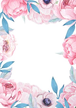 Pink peonies with green leaves on white background.の写真素材