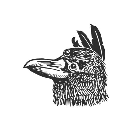 Mystical bird vector illustration.のイラスト素材