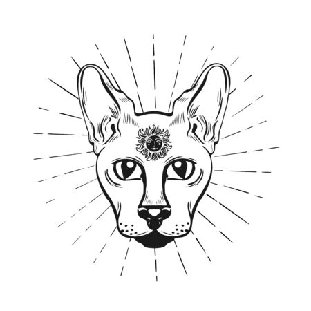 Outline cat head occult illustration.のイラスト素材
