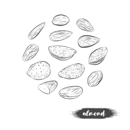 Almond kernels and nutshells isolated on white background.のイラスト素材