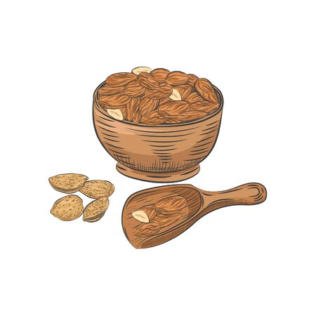 Almond kernels and nutshells isolated on white background.のイラスト素材