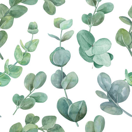 Eucalyptus delicate branches watercolor seamless pattern. Eucalyptus leaves endless background.の写真素材