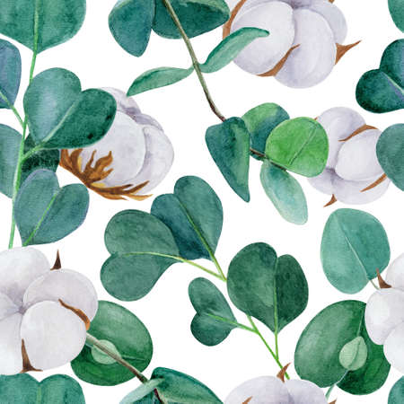 Eucalyptus branches and cotton watercolor seamless pattern. Eucalyptus leaves and cotton bloom endless background.の写真素材