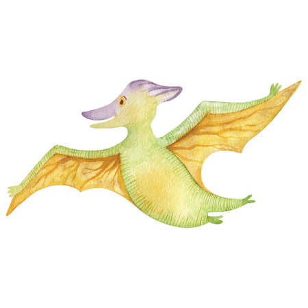Dinosaur clip-art watercolor illustration. Pterodactyl flying isolated on white background.の写真素材