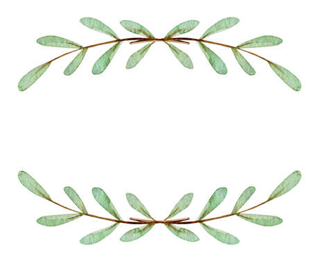 Green leaves frame watercolor illustration. Greenery border isolated on white background.の写真素材