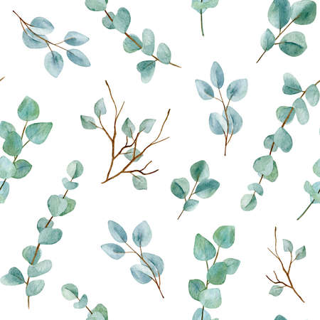 Eucalyptus delicate branches watercolor seamless pattern. Eucalyptus leaves endless background.の写真素材