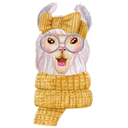 Winter llama portrait watercolor illustration. Cute llama wearing warm scarf and head band isolated on white background.の写真素材