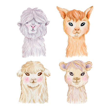 Llama portrait collection isolated on white background. Cute llama characters watercolor illustration.の写真素材