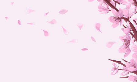 Cherry blossom branch with fallen petals pink vector background. Spring asian background with blooming sakura.のイラスト素材