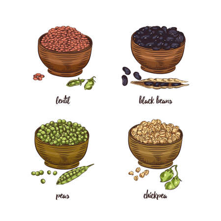 Red lentils, black beans, peas and chickpea isolated on white background.の写真素材