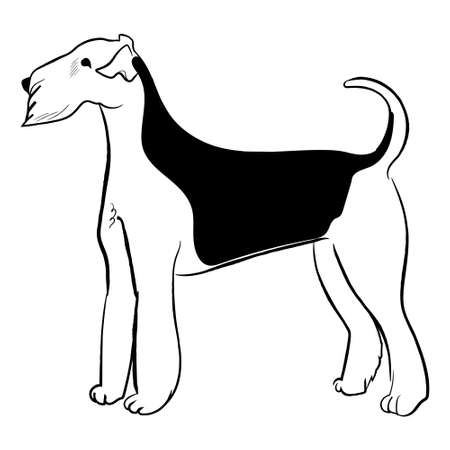 Airedale terrier dog isolated on white background. Hand drawn dog breed vector sketch.のイラスト素材
