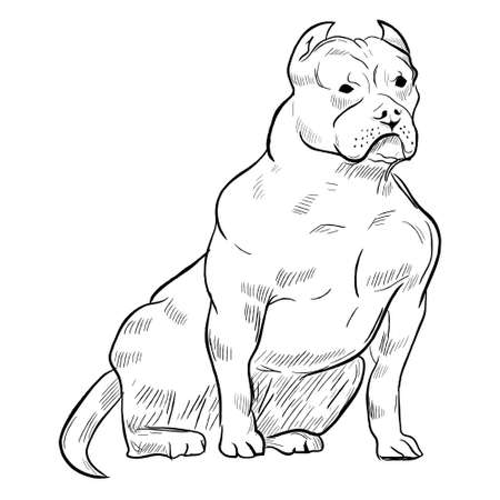 Pitbull dog isolated on white background. Hand drawn dog breed vector sketch.のイラスト素材