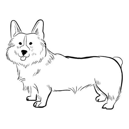 Corgie dog isolated on white background. Hand drawn dog breed vector sketch.のイラスト素材